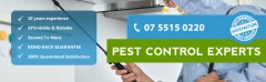Pro Pest Control Gold Coast